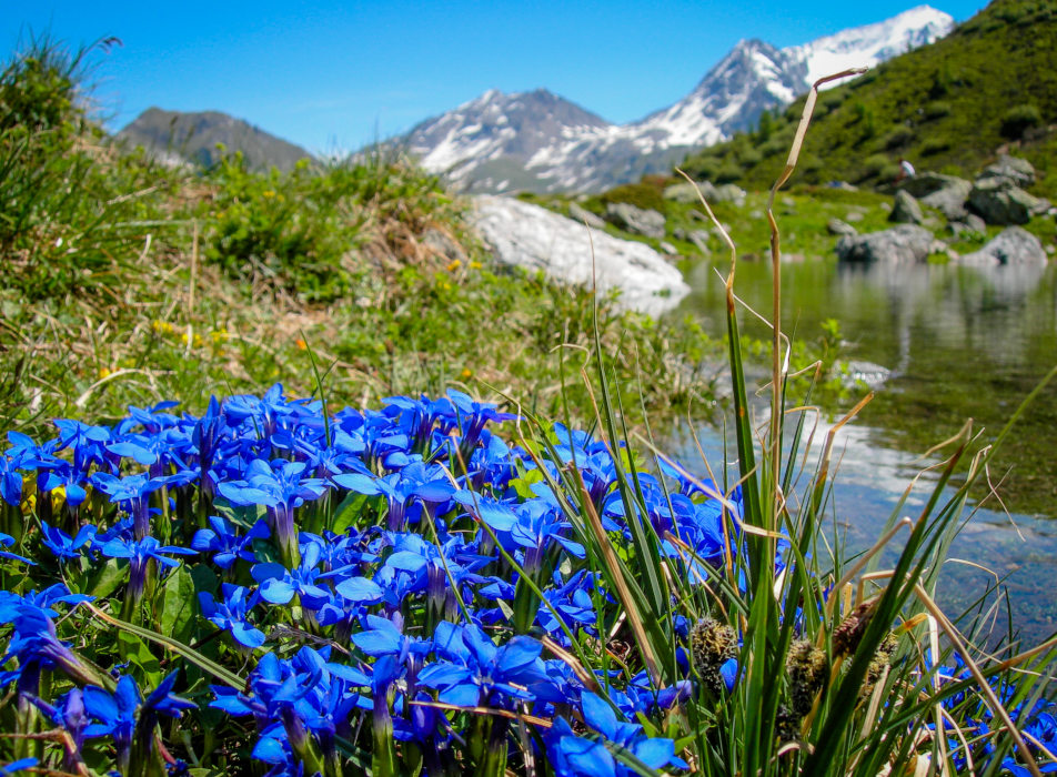 camping nature savoie