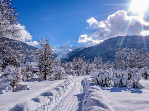 nature environnement savoie