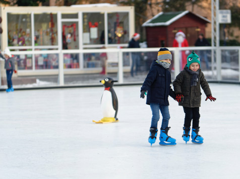 patinoire savoie