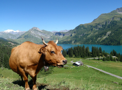 randonnee ete savoie