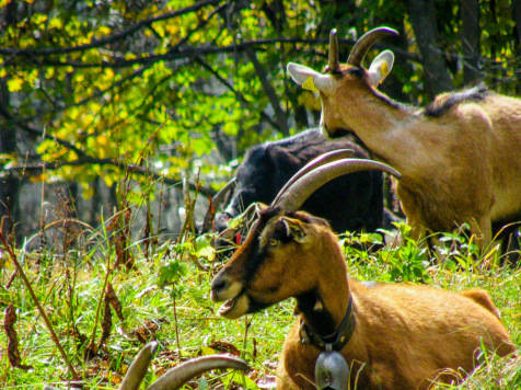 vacances ecolgique savoie