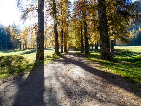 vallee environnement savoie