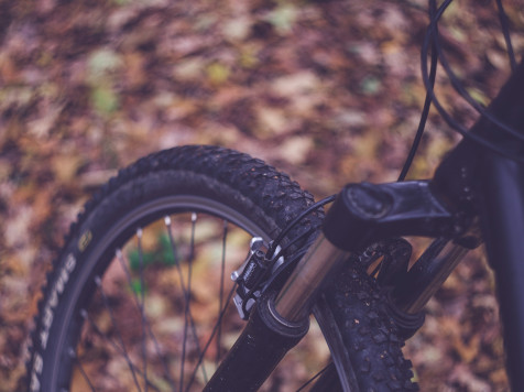 vtt en savoie